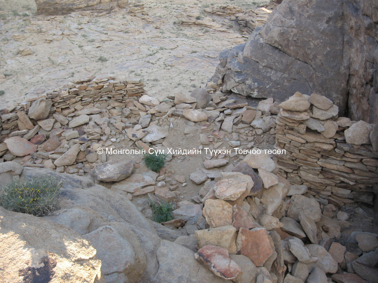 Үлдэгдэл туурь